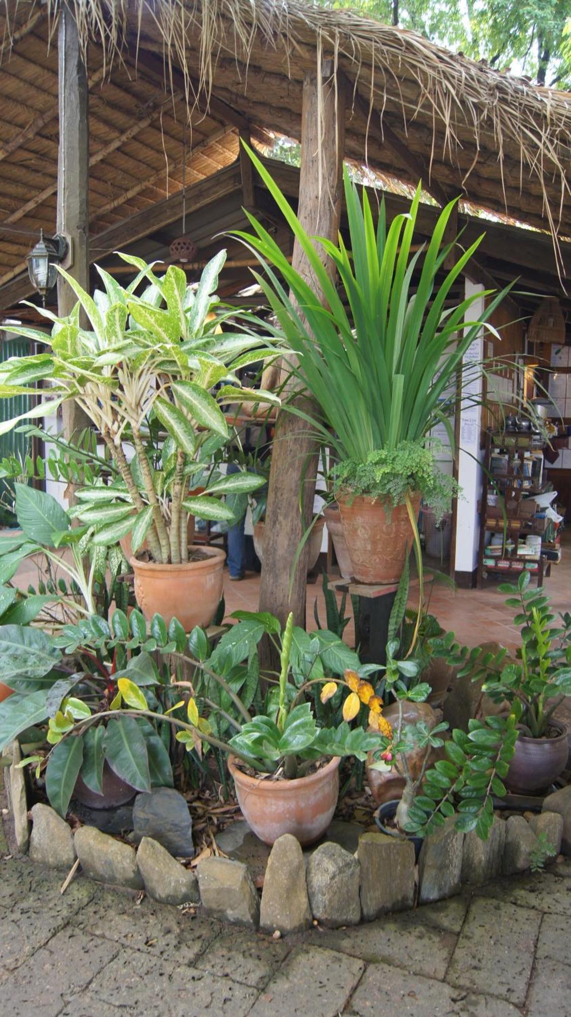Mut Mee Garden Guest House Nong Khai Exteriör bild